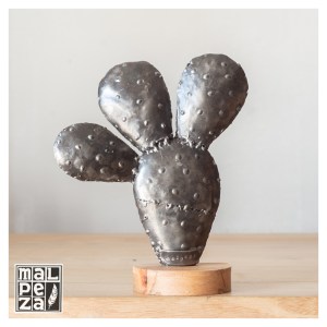 MALPEZA_Cactus_00006