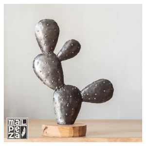 MALPEZA_Cactus_00007