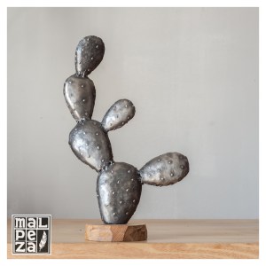 MALPEZA_Cactus_00008